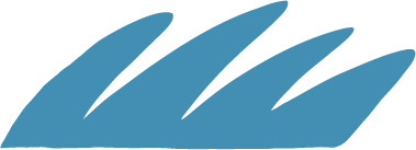 kusa2