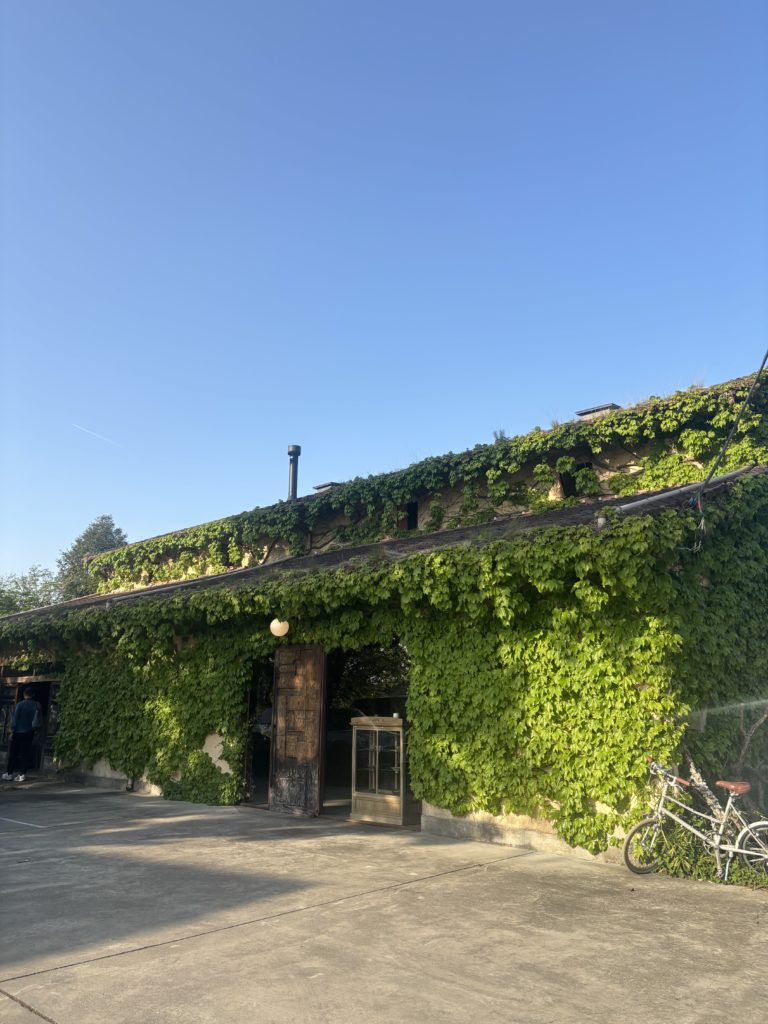 【AIKOのほっと一息】 益子陶器市に🥺 post by AIKO