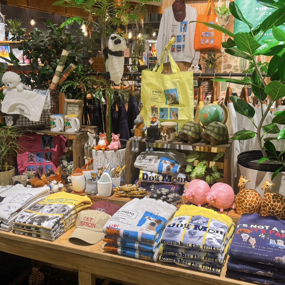 STYLE EDITORIAL STORE