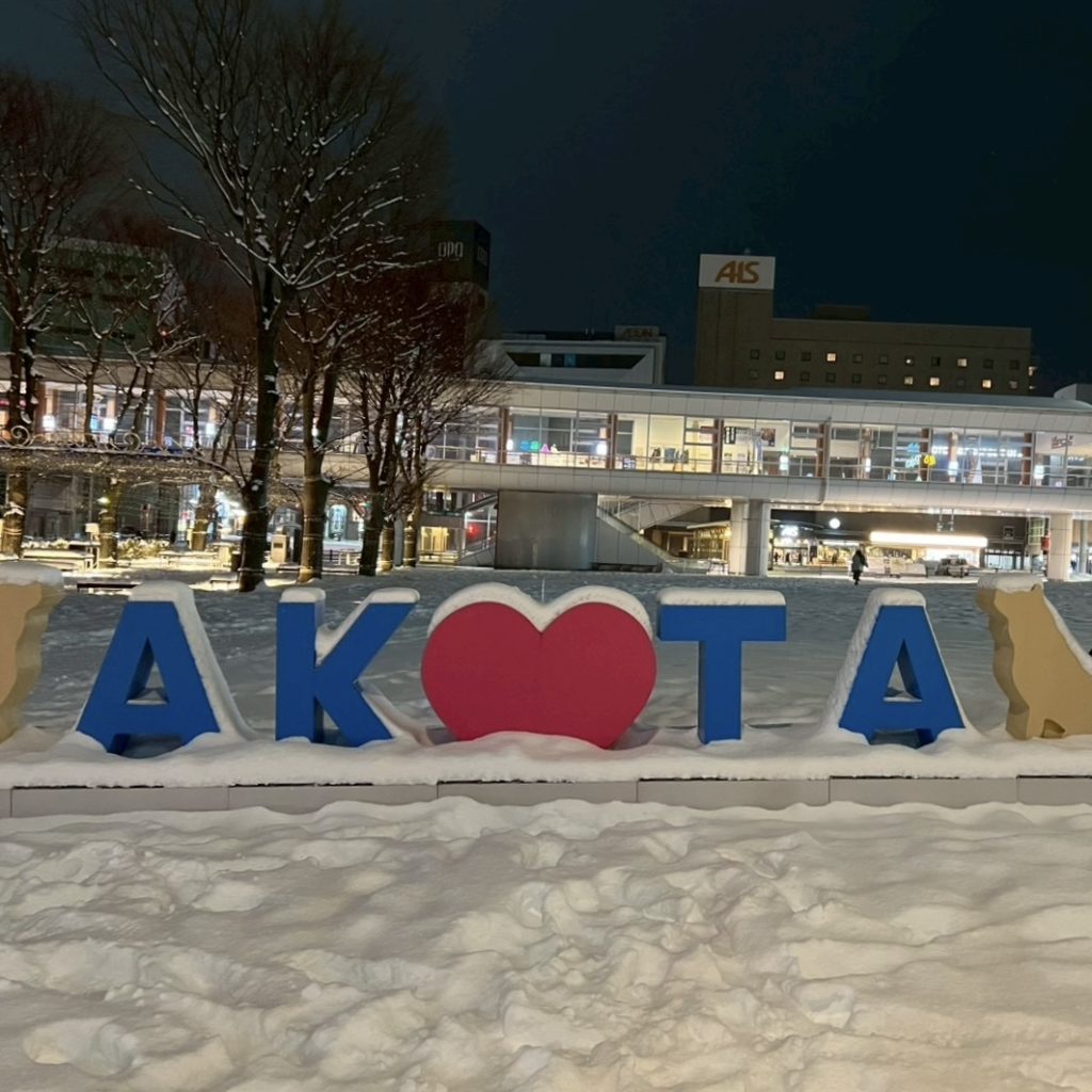 ☃️大雪の秋田帰省👹