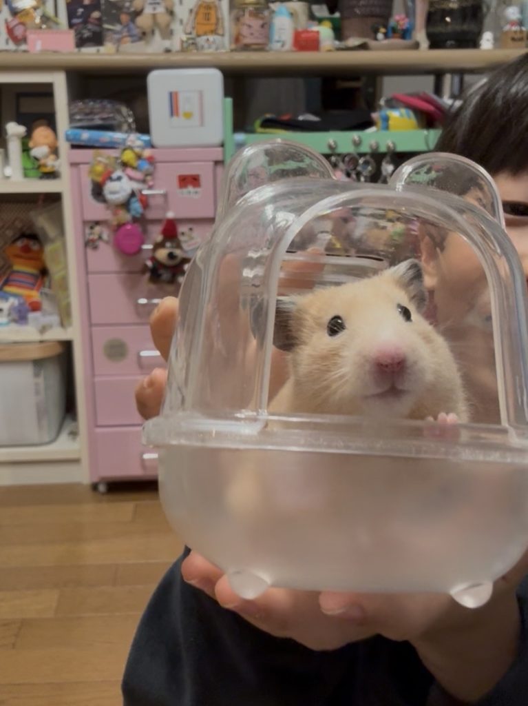 🐹1番身近なきゅん活🐹